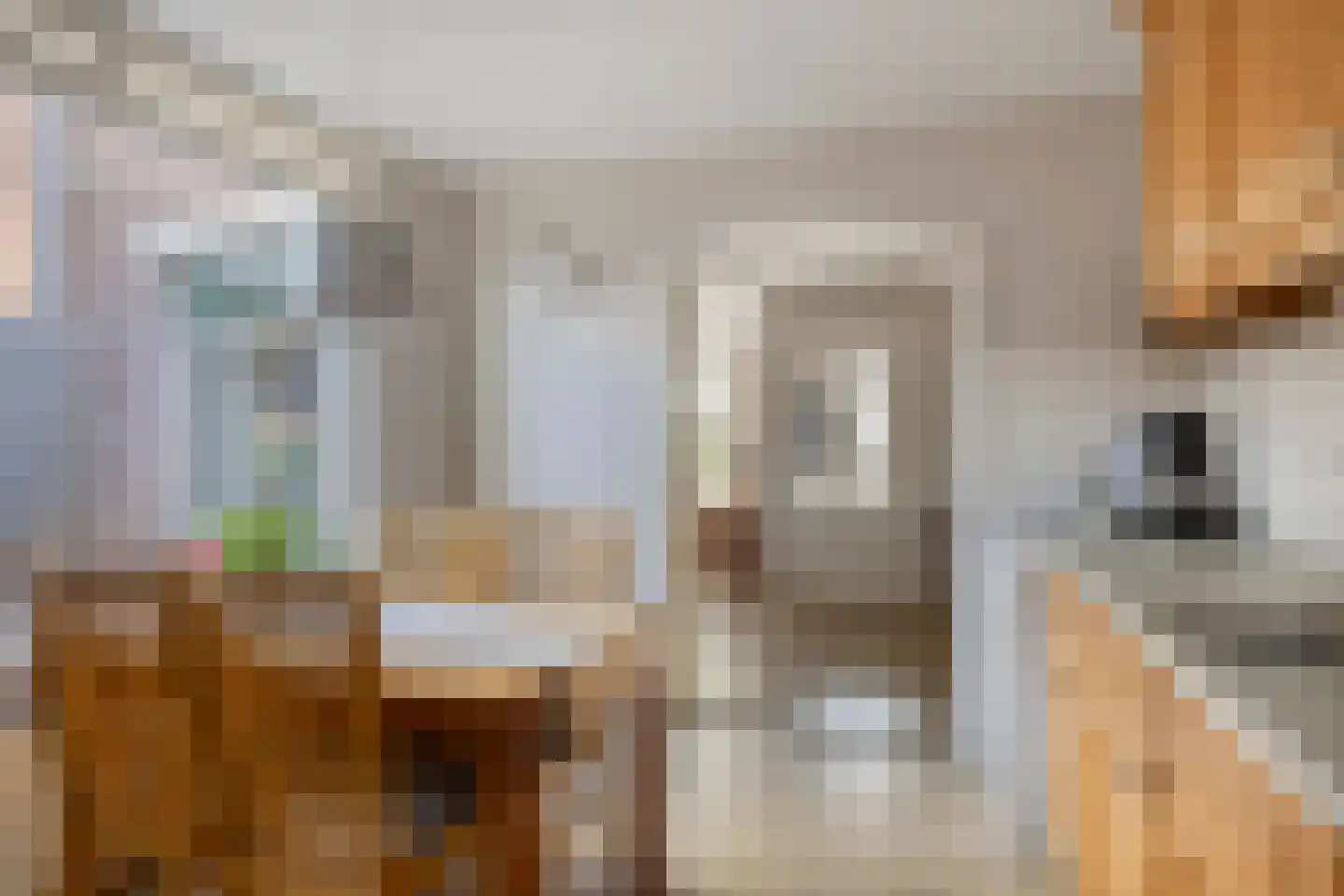 Prins Bernhardstraat 35 Heino thumbnail 19