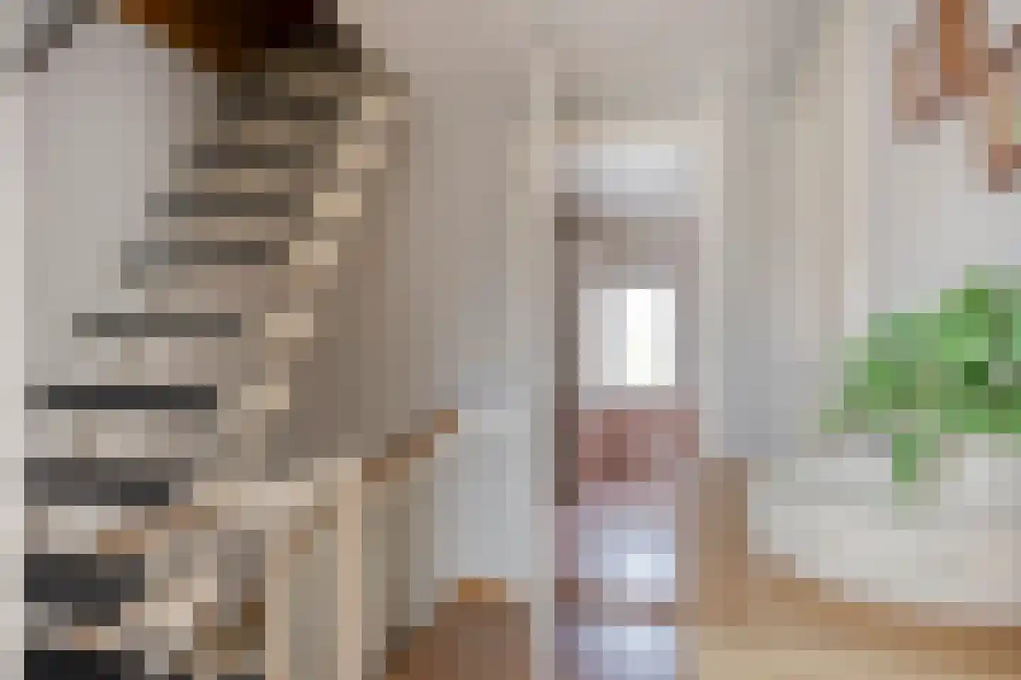 Prins Bernhardstraat 35 Heino thumbnail 28