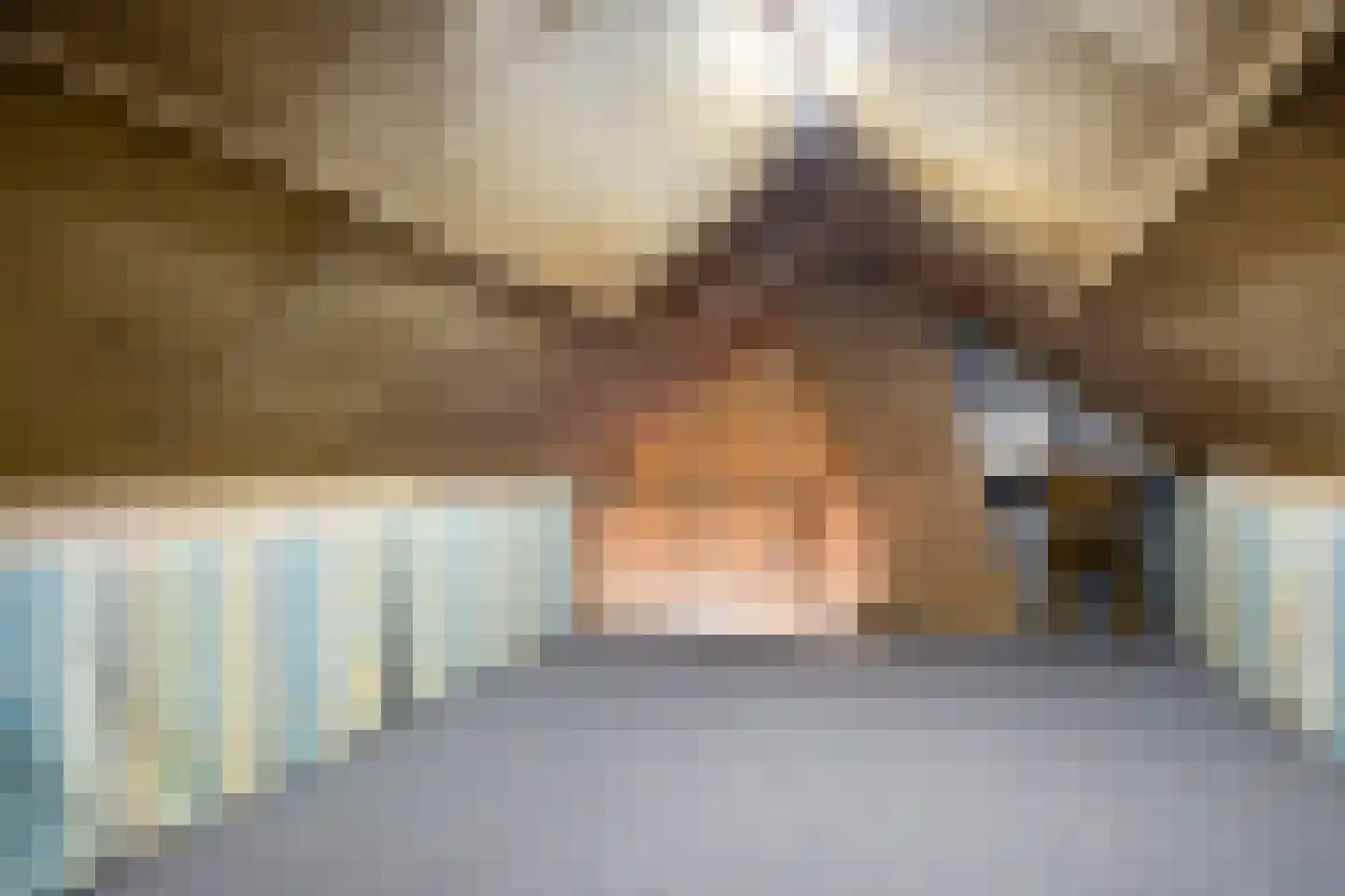 Prins Bernhardstraat 35 Heino thumbnail 30