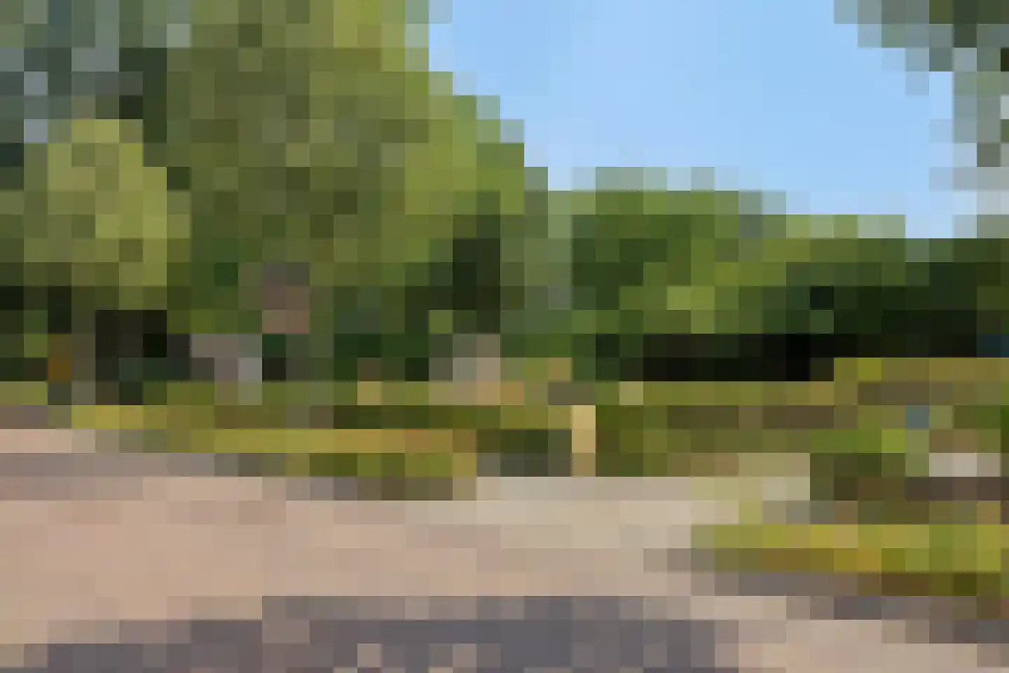 Prins Bernhardstraat 35 Heino thumbnail 37