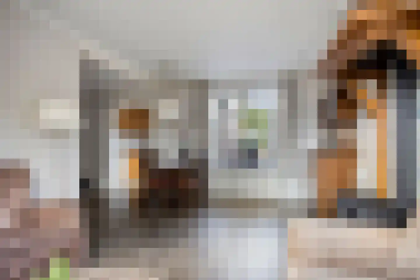 Prins Bernhardstraat 35 Heino thumbnail 8