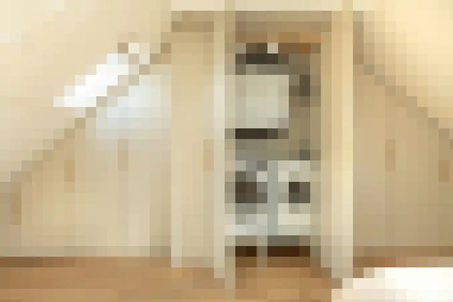 Prins Bernhardstraat 35 Hilversum thumbnail 34