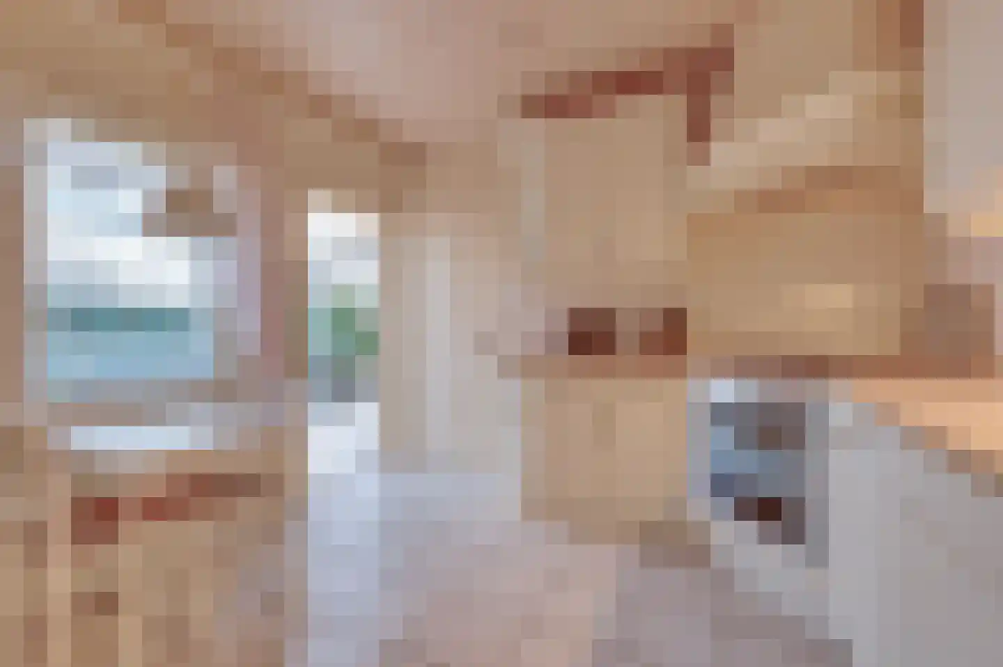 Prins Bernhardstraat 37 Schoondijke thumbnail 11