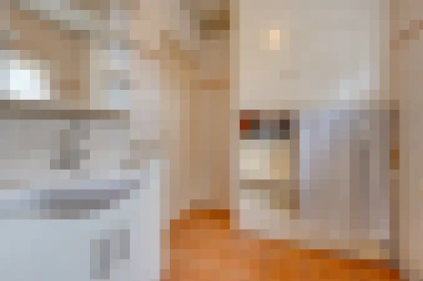 Prins Bernhardstraat 37 Schoondijke thumbnail 14