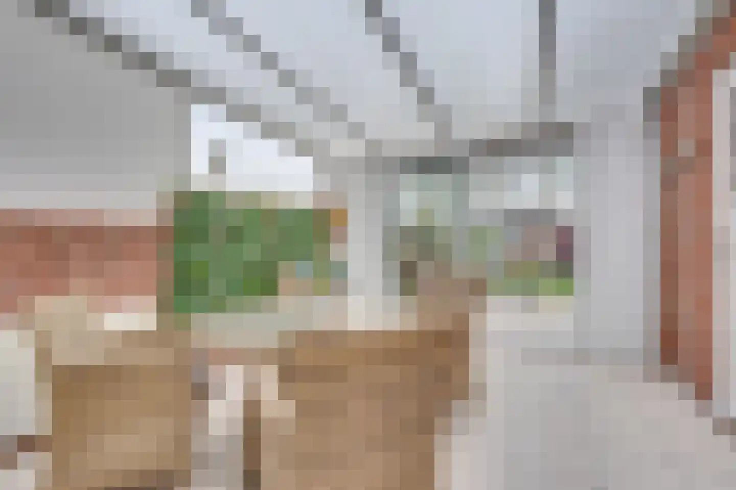 Prins Bernhardstraat 37 Schoondijke thumbnail 25