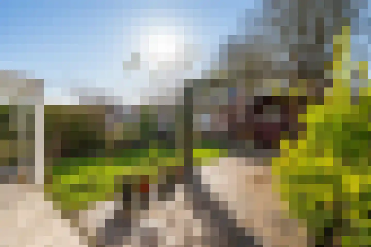 Prins Bernhardstraat 37 Schoondijke thumbnail 30