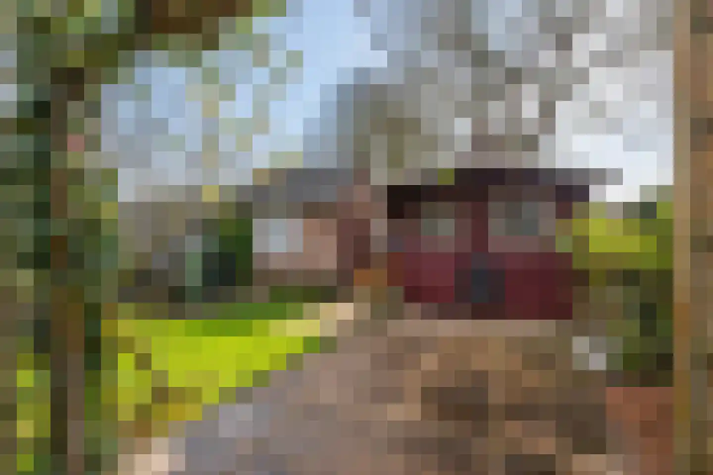 Prins Bernhardstraat 37 Schoondijke thumbnail 31