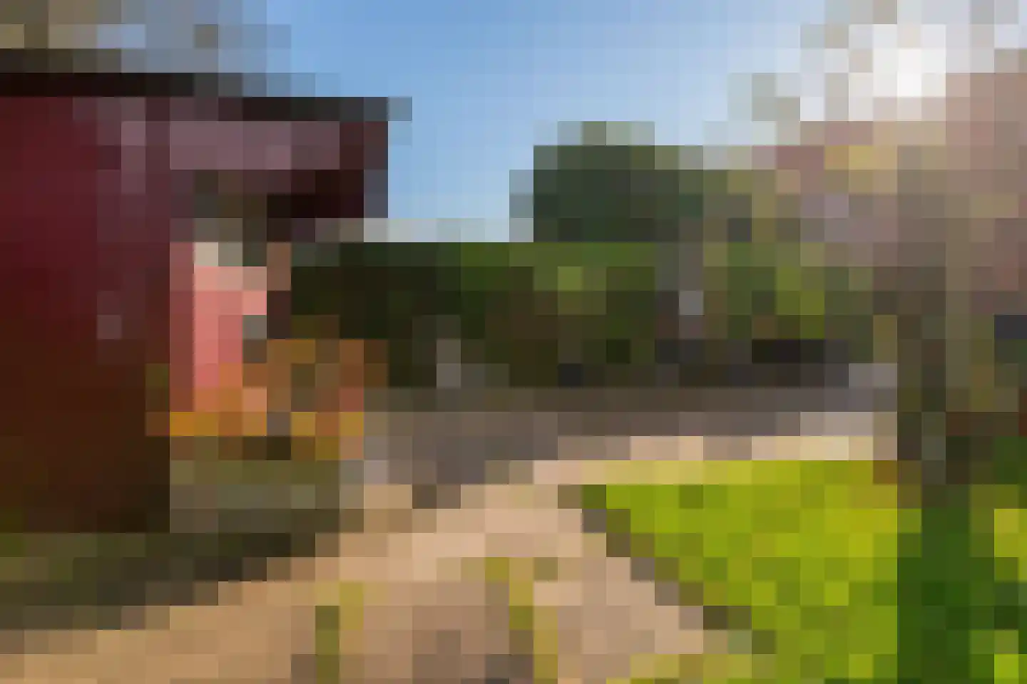 Prins Bernhardstraat 37 Schoondijke thumbnail 34