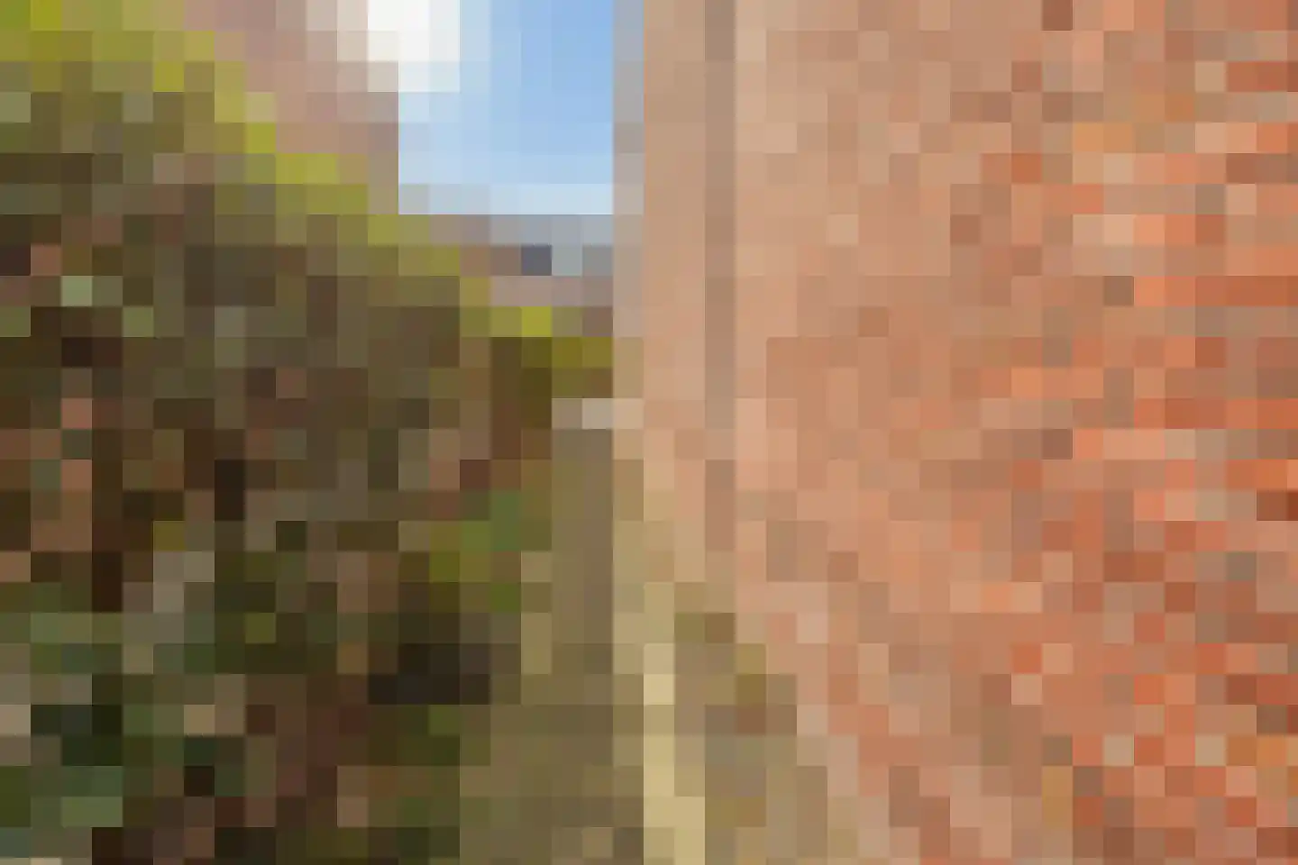 Prins Bernhardstraat 37 Schoondijke thumbnail 35