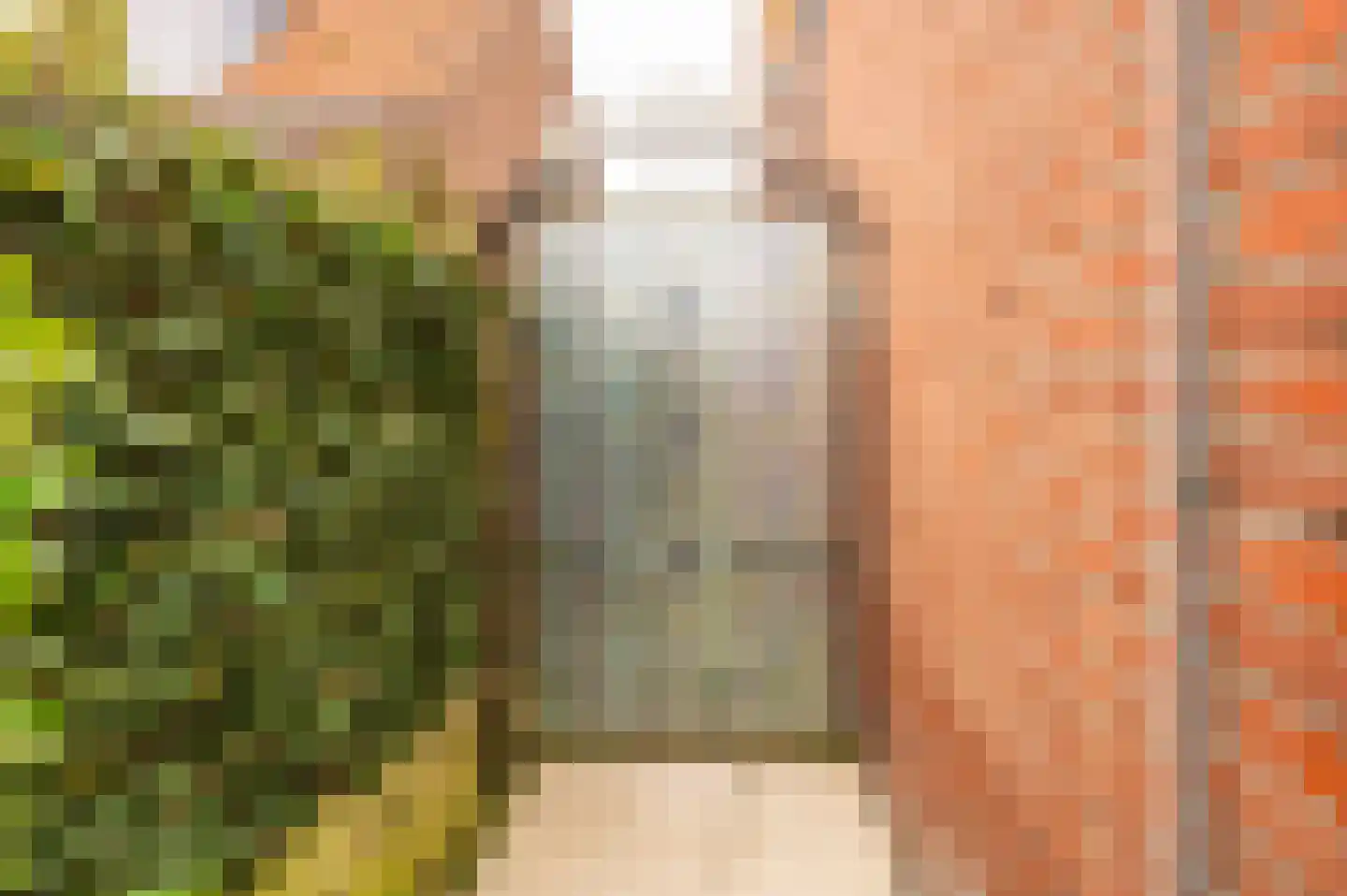 Prins Bernhardstraat 37 Schoondijke thumbnail 36