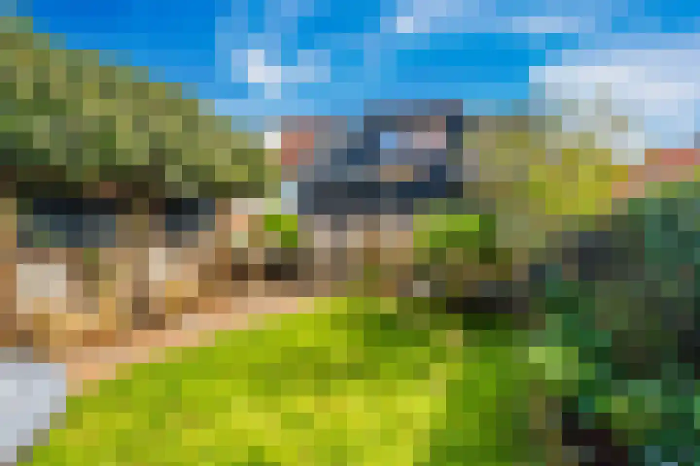 Prins Bernhardstraat 4 Egmond aan Zee thumbnail 34