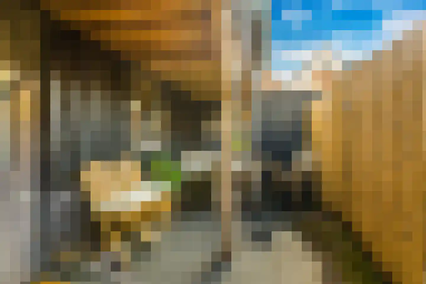 Prins Bernhardstraat 4 Egmond aan Zee thumbnail 37