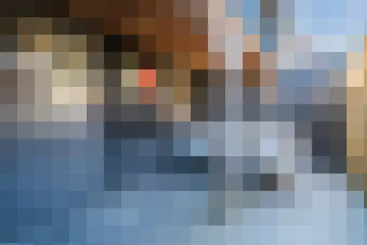 Prins Bernhardstraat 4 Egmond aan Zee thumbnail 39