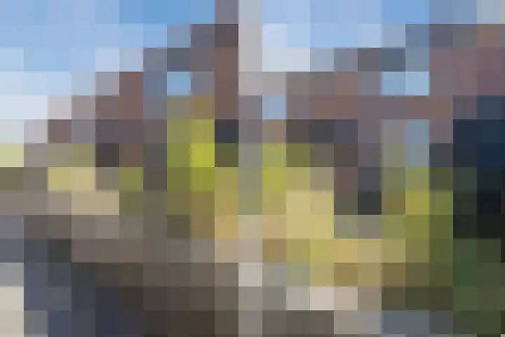 Prins Bernhardstraat 4 Egmond aan Zee thumbnail 43