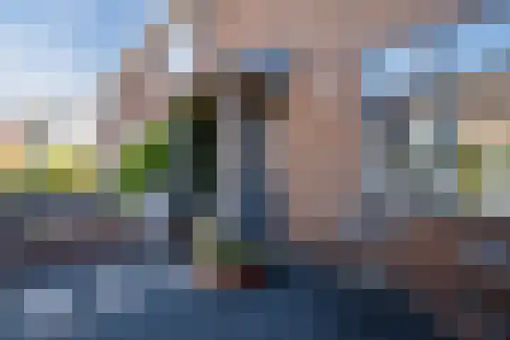Prins Bernhardstraat 4 Egmond aan Zee thumbnail 5