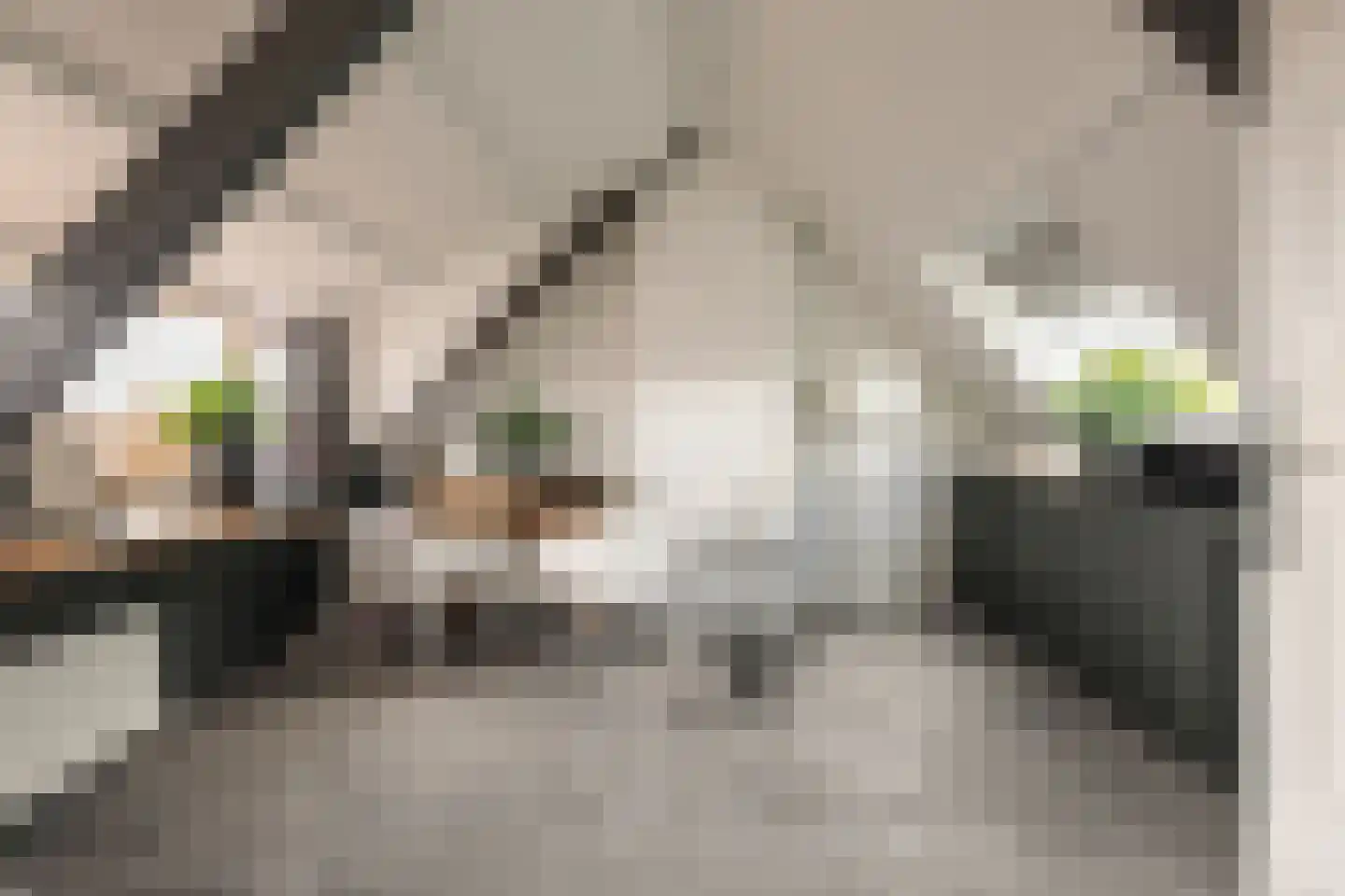 Prins Bernhardstraat 4 Egmond aan Zee thumbnail 8