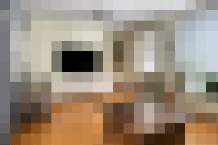 Prins Bernhardstraat 4 Kampen thumbnail 11