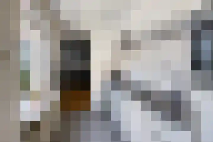 Prins Bernhardstraat 4 Kampen thumbnail 16