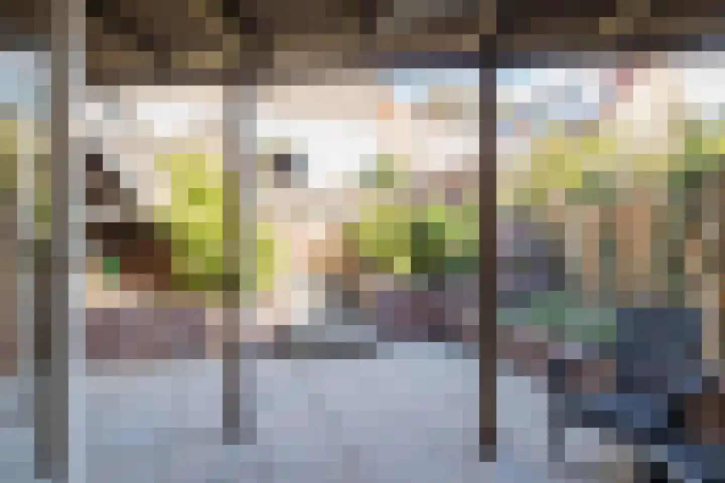 Prins Bernhardstraat 4 Noordwijk thumbnail 16