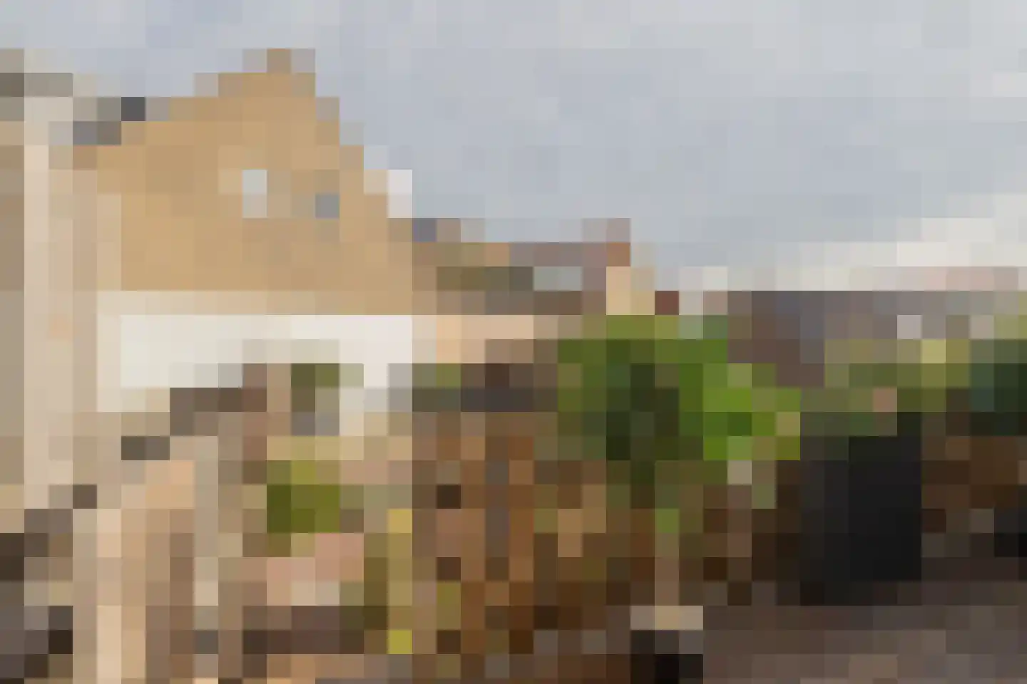 Prins Bernhardstraat 4 Noordwijk thumbnail 31