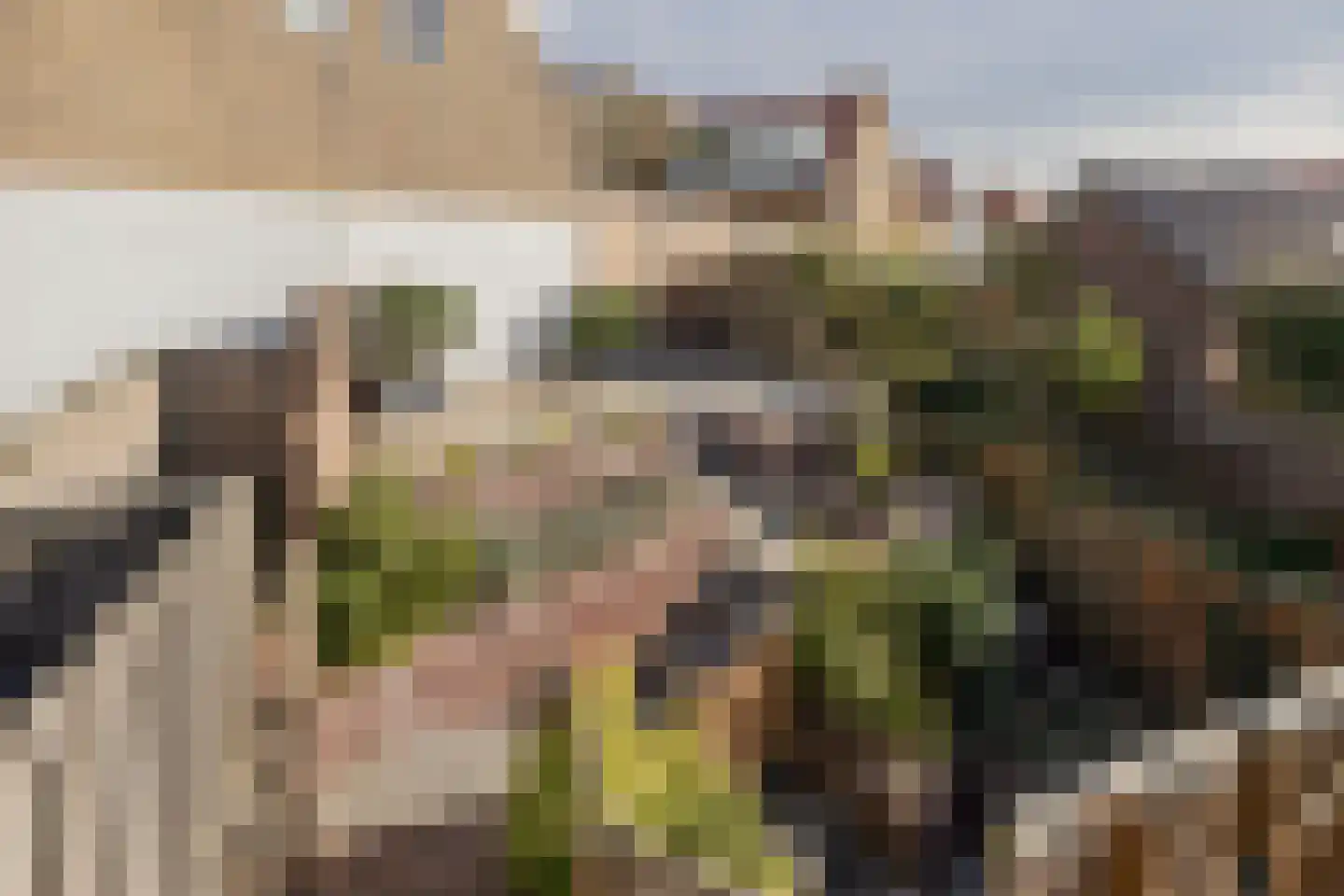 Prins Bernhardstraat 4 Noordwijk thumbnail 32