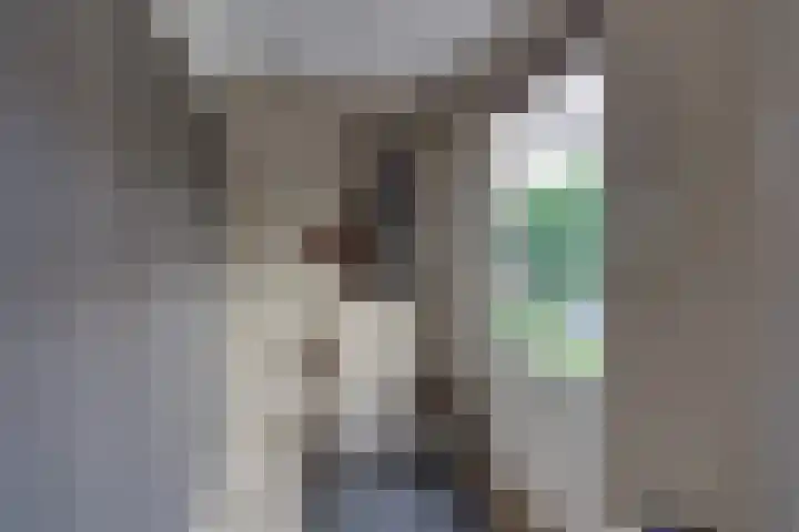 Prins Bernhardstraat 4 Rijssen thumbnail 15