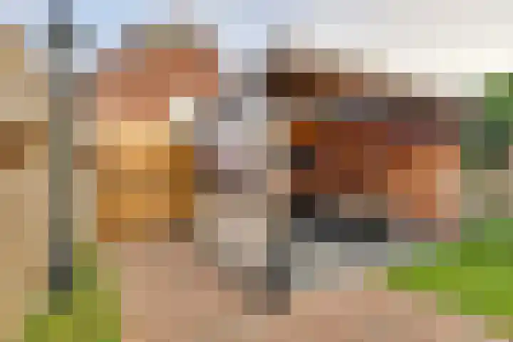 Prins Bernhardstraat 4 Rijssen thumbnail 28