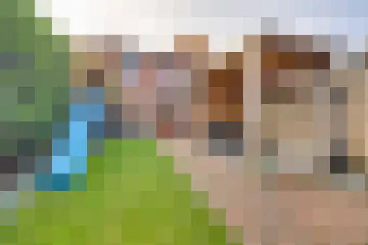 Prins Bernhardstraat 4 Rijssen thumbnail 30