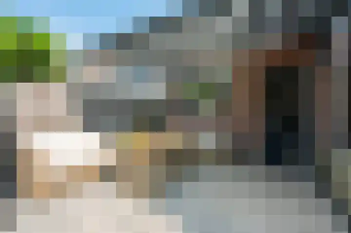 Prins Bernhardstraat 4 Vianen thumbnail 33