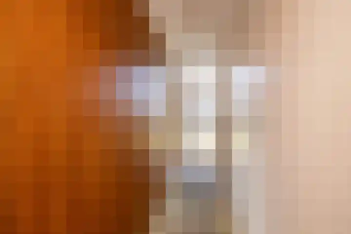 Prins Bernhardstraat 40 Ridderkerk thumbnail 8