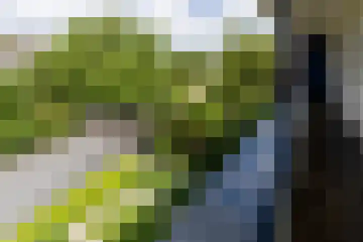 Prins Bernhardstraat 40 Silvolde thumbnail 26
