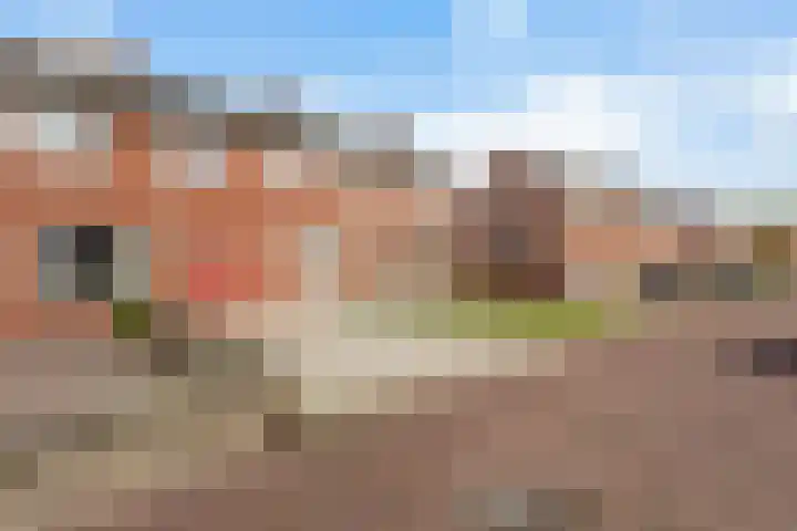 Prins Bernhardstraat 40 Zoutkamp thumbnail 9