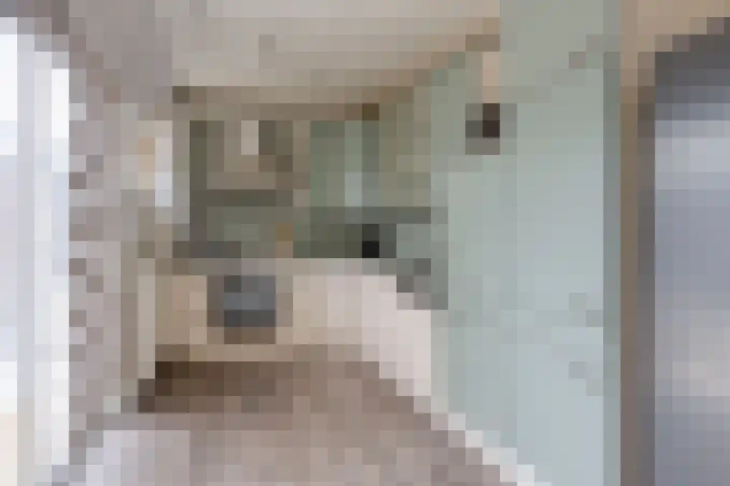 Prins Bernhardstraat 43 Drunen thumbnail 12