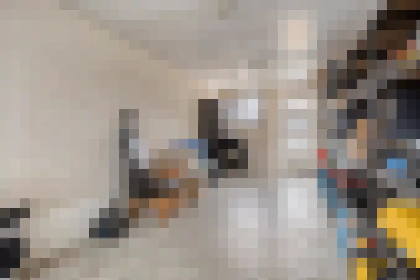 Prins Bernhardstraat 43 Drunen thumbnail 35