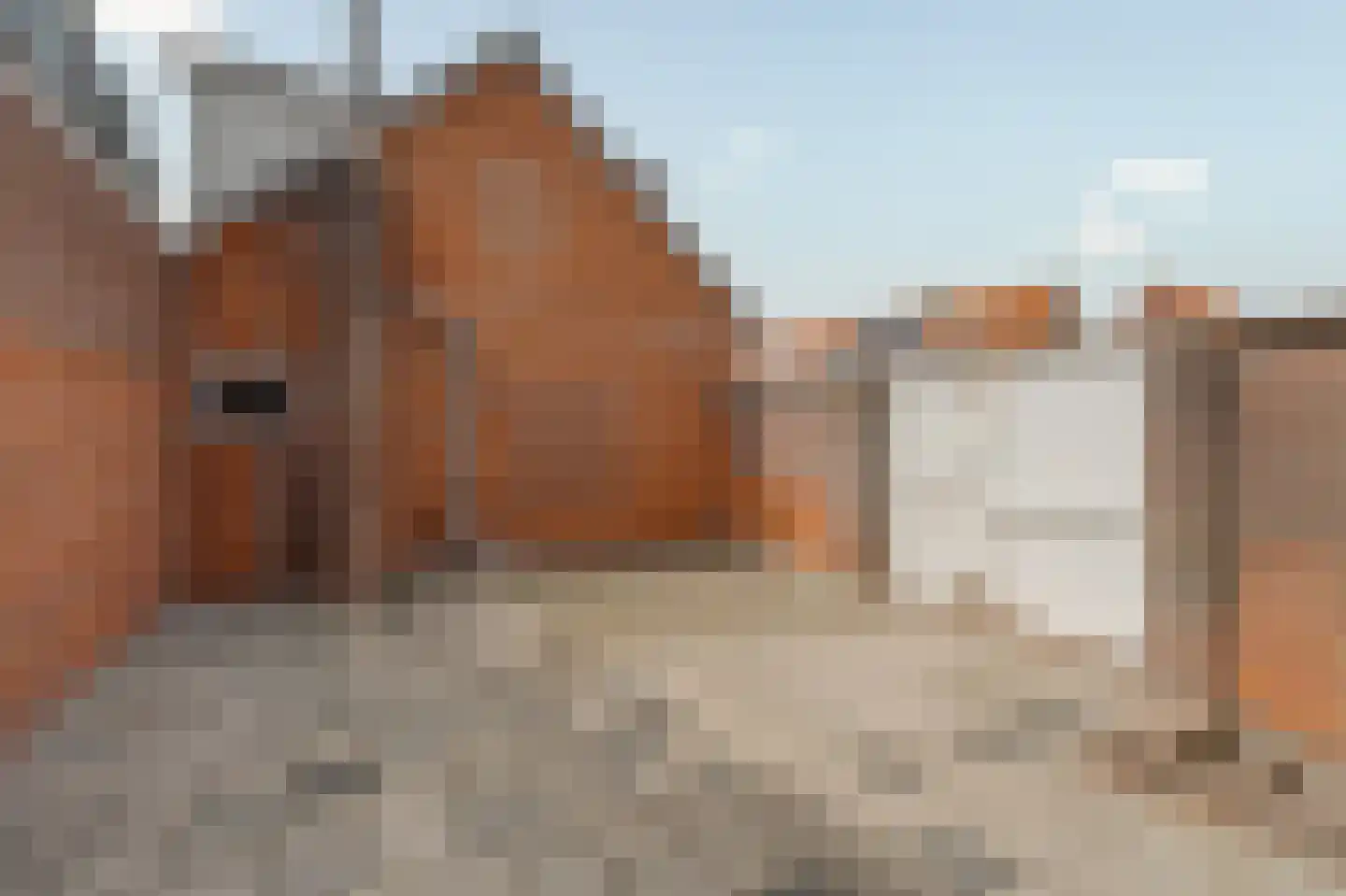 Prins Bernhardstraat 47 Noordwijk thumbnail 35