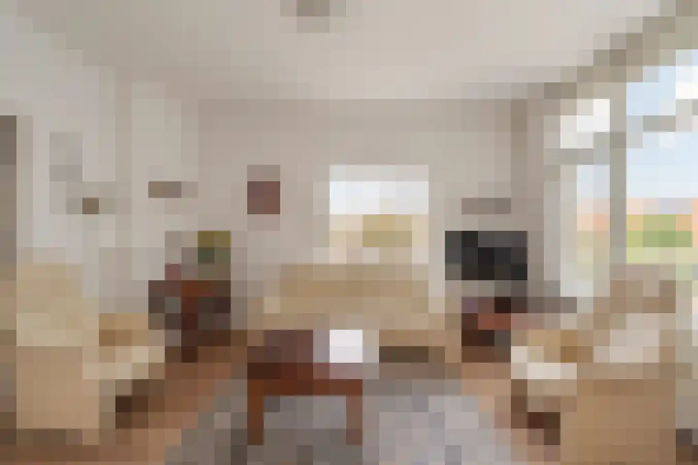 Prins Bernhardstraat 47 Noordwijk thumbnail 7