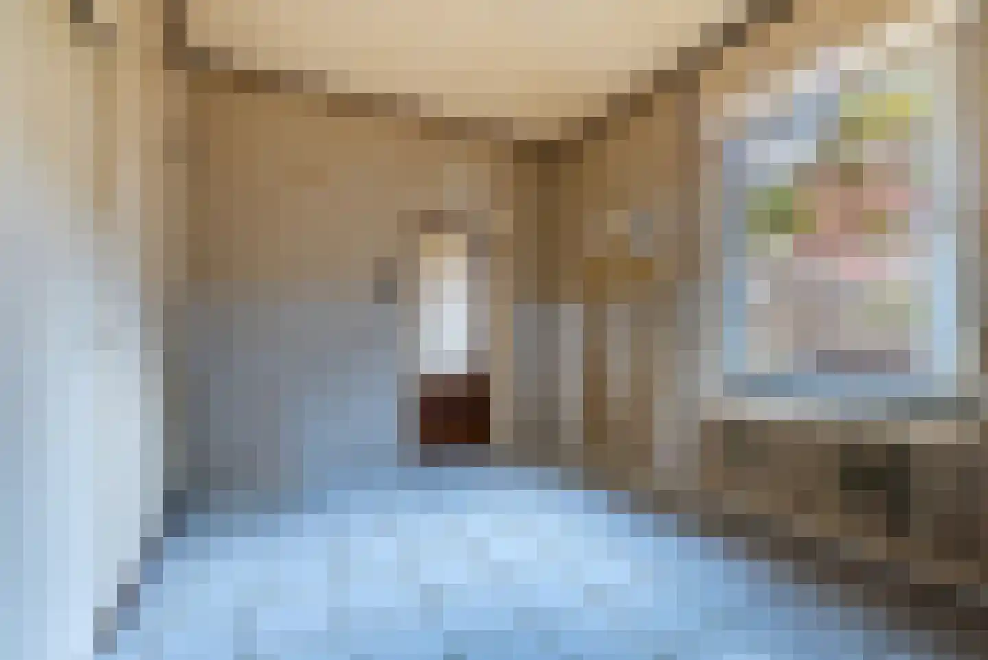Prins Bernhardstraat 49 Kerkrade thumbnail 11