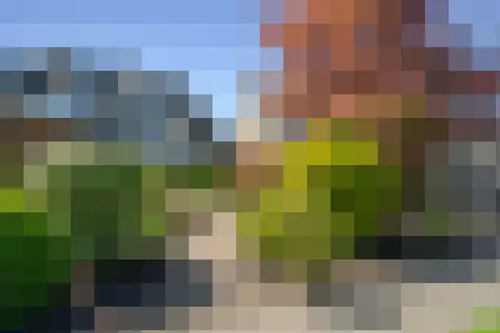 Prins Bernhardstraat 49 Waarder thumbnail 49
