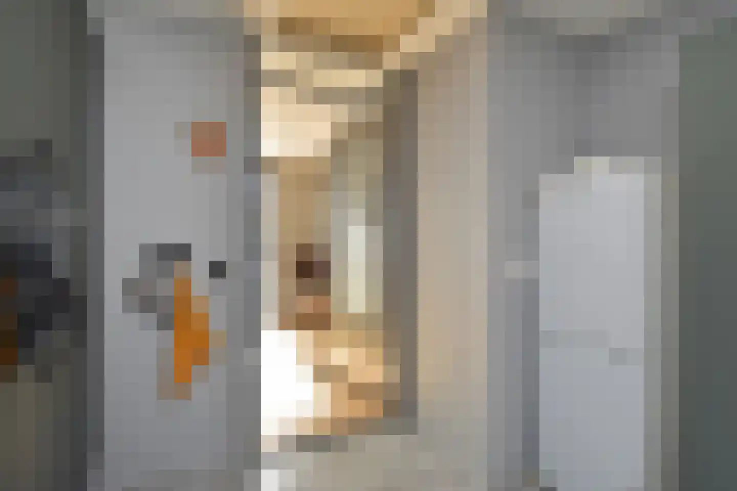 Prins Bernhardstraat 5 A Naaldwijk thumbnail 16
