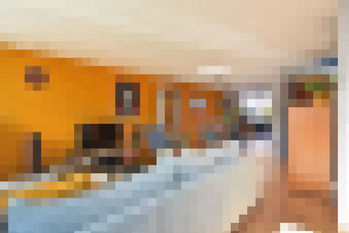 Prins Bernhardstraat 5 A Naaldwijk thumbnail 18
