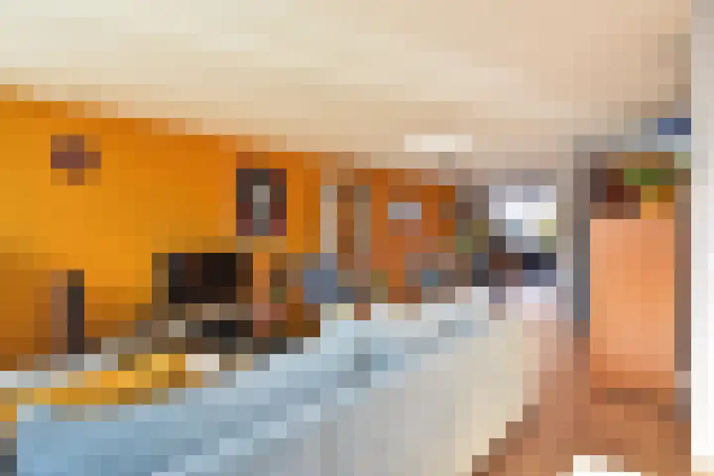 Prins Bernhardstraat 5 A Naaldwijk thumbnail 18