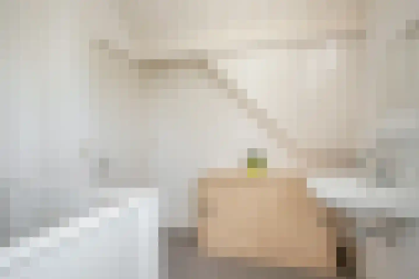 Prins Bernhardstraat 5 Eibergen thumbnail 23