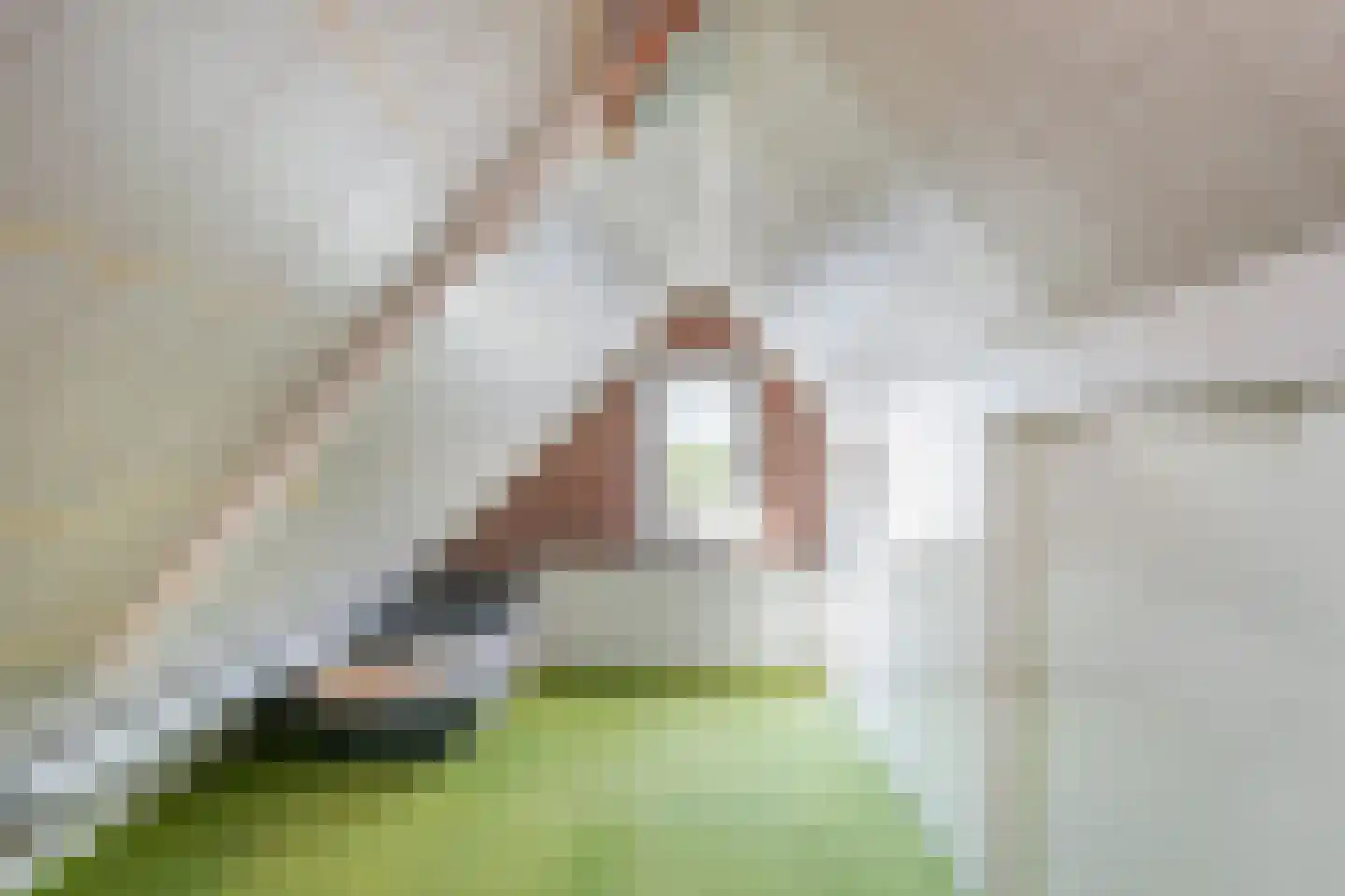 Prins Bernhardstraat 5 Eibergen thumbnail 26