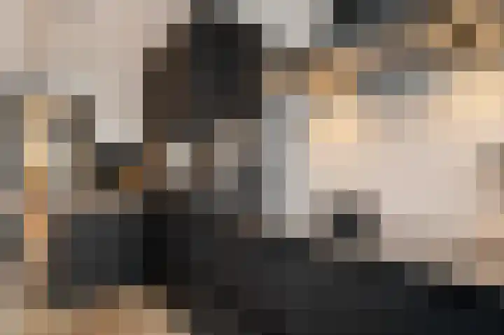 Prins Bernhardstraat 5 Hillegom thumbnail 10