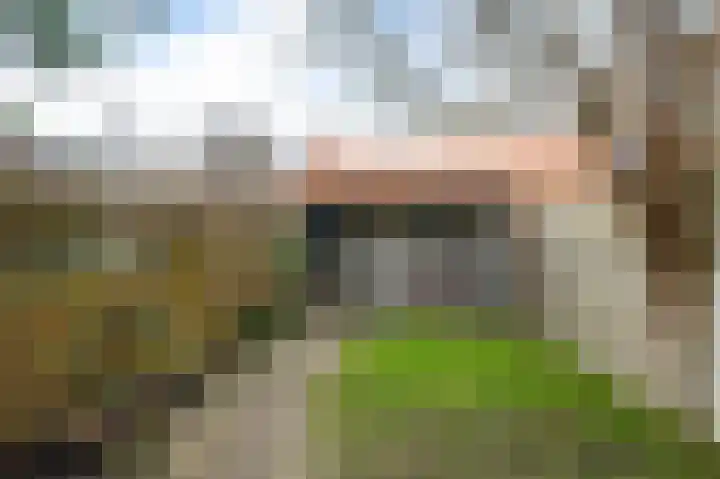 Prins Bernhardstraat 5 Hillegom thumbnail 13
