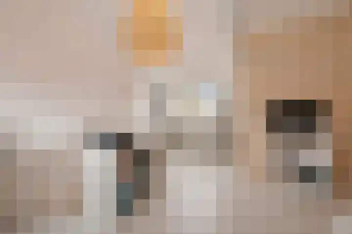 Prins Bernhardstraat 5 Hillegom thumbnail 28