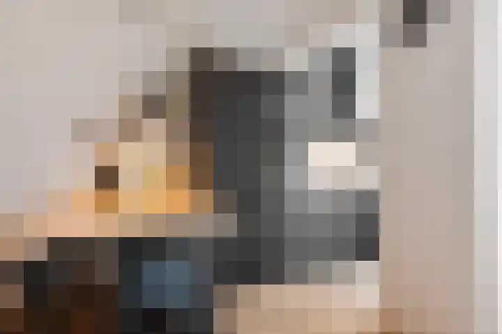 Prins Bernhardstraat 5 Hillegom thumbnail 8