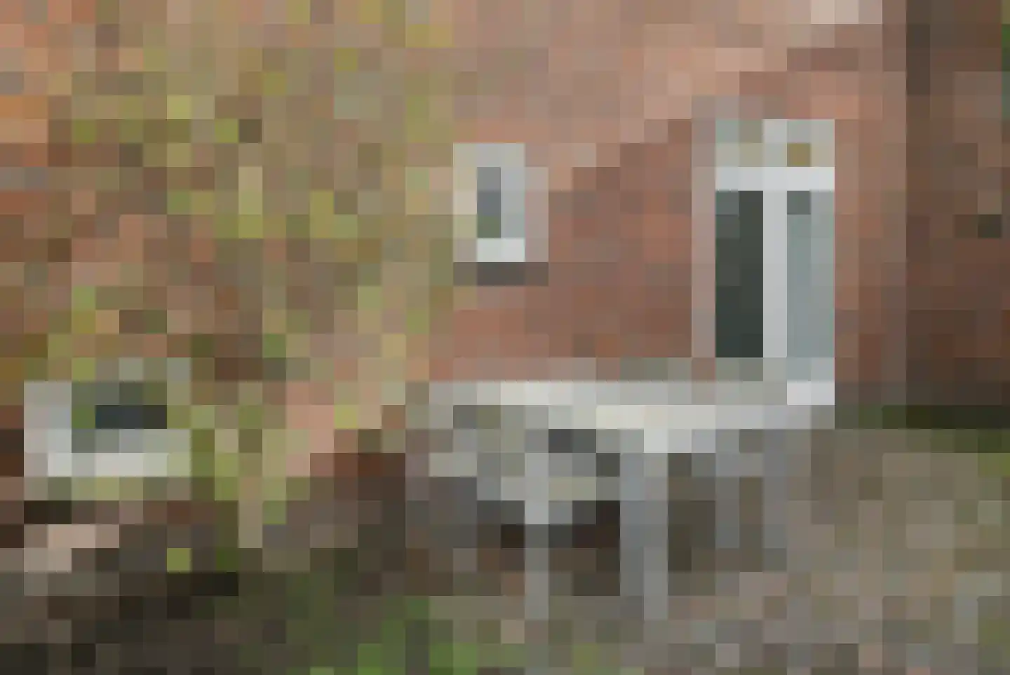 Prins Bernhardstraat 5 's-Hertogenbosch thumbnail 42