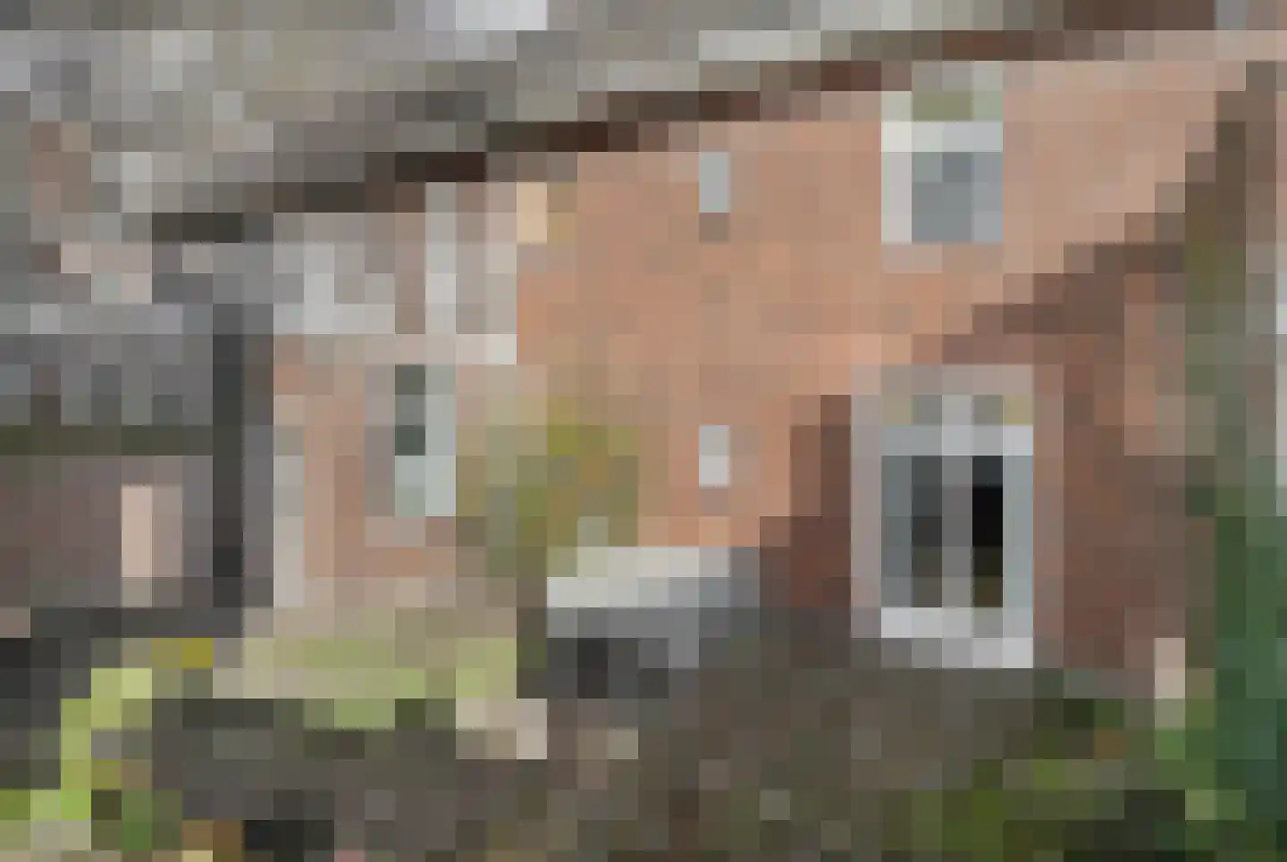 Prins Bernhardstraat 5 's-Hertogenbosch thumbnail 43