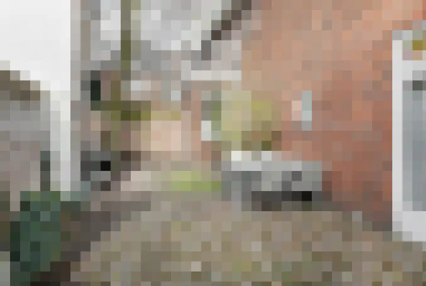 Prins Bernhardstraat 5 's-Hertogenbosch thumbnail 44